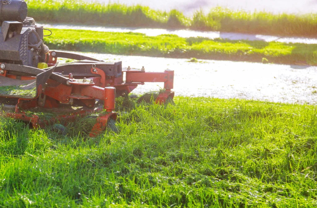 Mowing-service-img