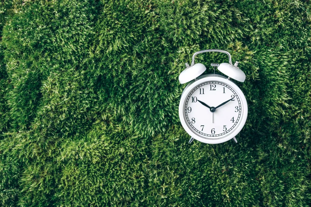 landscaping-service-2