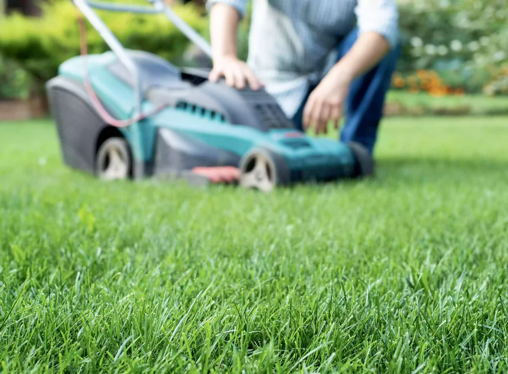 mowing-service-image-2